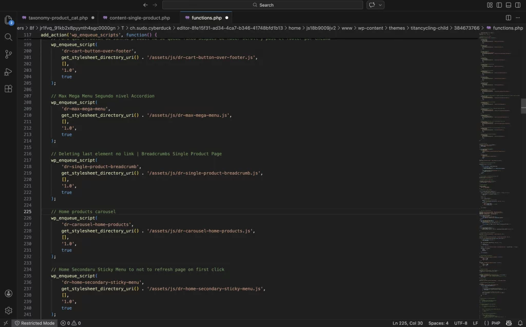 Asset Management via wp_enqueue_scripts
